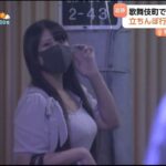 レス33番の画像3