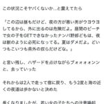 レス1番の画像3