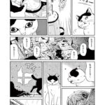 レス31番の画像9