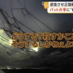 レス2番のリンク先のサムネイル画像
