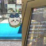 レス1番のリンク先のサムネイル画像
