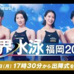 レス19番の画像1