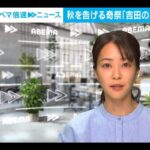 レス1番の画像2