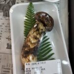 レス15番の画像1
