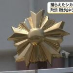 レス1番のリンク先のサムネイル画像