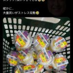 レス2番の画像1