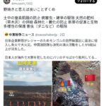レス2番の画像1